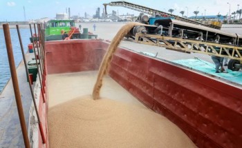 تداول 18 سفينة عبر ميناء دمياط و رصيد القمح بالمخازن الخاصه يصل لـ 35605 طن