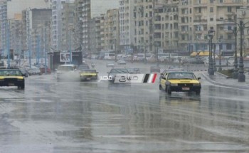 بالصور.. استمرار سقوط الأمطار المتوسطة على الإسكندرية