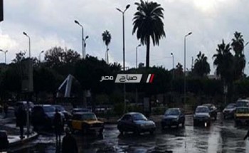 هطول أمطار غزيرة الان بالإسكندرية.. مع توقعات باستمرارها 4 أيام