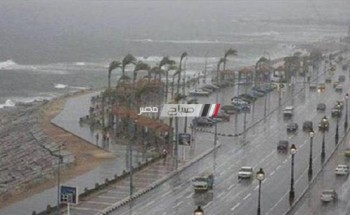 سقوط أمطار على عدة مناطق بالإسكندرية مع موجة من الطقس السيئ