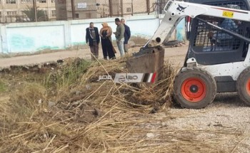 رئيس محلية دمنهور يتابع اعمال النظافة بقرية نديبة