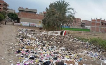 رئيس محلية دمنهور: متابعة حملات النظافة فى نطاق الوحدة المحلية بقرية زاوية غزال