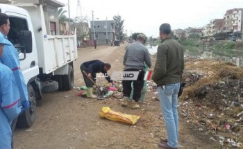 محلية دمنهور تواصل شن حملات نظافة بقرية الابعادية