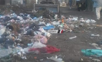 شن حملة مكبرة لكسح مياة الامطار و رفع تراكمات القمامة بقرية سنهور