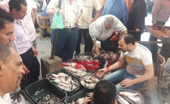 أسعار الأسماك بكافة أنواعه في محافظات مصر اليوم الأربعاء 30-10-2019