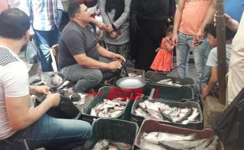 أسعار كافة أنواع الأسماك اليوم الخميس 29-12-2019 في الأسواق المصرية