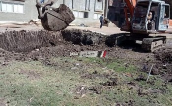 إزالة 13 حالة تعدي على الأرض الزراعية بقرية الرياض بدمياط