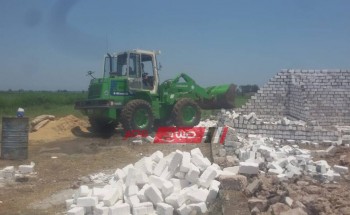 شن حملة مكبرة لإزالة التعديات على الأراضى الزراعية و أملاك الدولة بمركز كفر سعد
