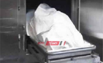 مصرع مواطنان وإصابة 15 آخرين فى حادث مروع بطريق الإسكندرية الصحراوي