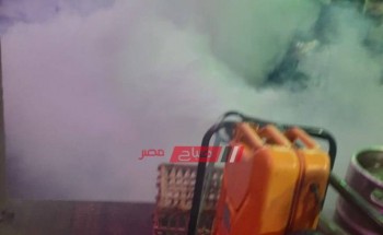 حملات مكبرة لمكافحة الحشرات بأحياء محافظة الإسكندرية