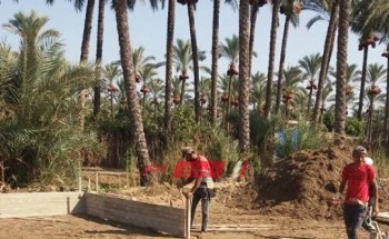 ازالة حالتان تعدي على الأراضي الزراعية بمساحة 420 متر2 بمدينة كفر البطيخ بدمياط