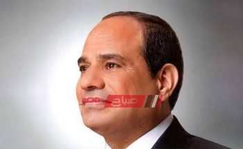 الرئيس عبد الفتاح السيسي يؤكد رفض مصر اعتداء تركيا على الأراضي السورية