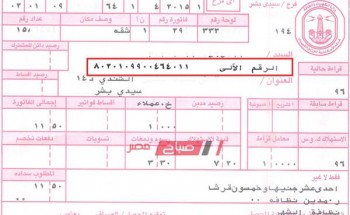 حساب فاتورة الكهرباء برقم العداد – استعلام فاتورة الكهرباء مصر الوسطى