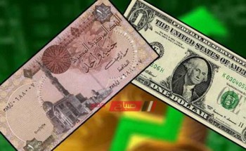 أسعار الدولار الأمريكي اليوم في البنوك المصرية