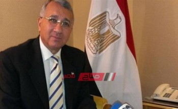 دبلوماسي يوضح حجم التعاون بين مصر وألمانيا.. فيديو