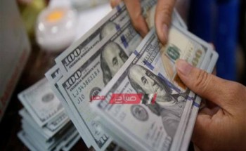 سعر الدولار الأمريكي والعملات الأجنبية أمام الجنيه المصري اليوم الثلاثاء 19-11-2019