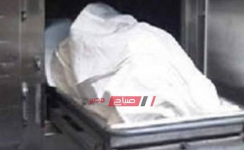 القبض على متهمين خطفوا حقيبة يد سيدة مما تسبب فى سقوطها ووفاتها في الإسكندرية