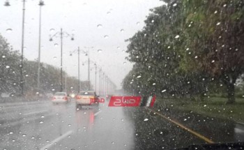 الأرصاد تحذر من تقلبات جوية وتساقط أمطار غزيرة يوم الخميس علي الإسكندرية