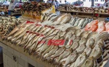 أسعار البوري ترتفع 15 جنيهًا في سوق العبور لجملة الأسماك
