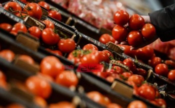 جملة الطماطم تسجل 5.6 جنيه في سوق العبور اليوم