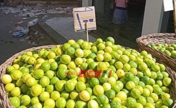 كيلو الليمون البلدي يسجل 20 جنيهًا في بني سويف