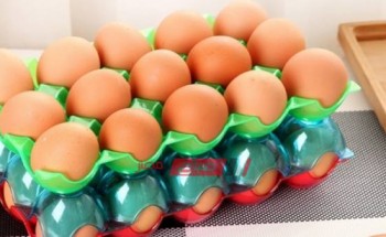 كرتونة البيض أحمر تسجل 41 جنيهًا و البيضة بـ 150 قرشًا اليوم