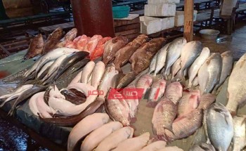 ننشر أسعار 22 نوعًا من الأسماك في سوق الجملة اليوم