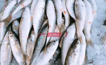 أسعار الأسماك والجمبري اليوم الإثنين 19-4-2021 بالأسواق المصرية