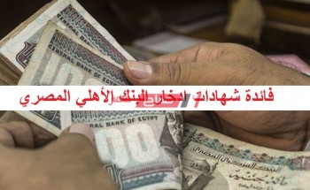 تعرف على فائدة شهادات ادخار البنك الأهلي المصري بعد قرار خفض الفوائد