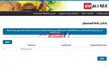 رابط سريع لتسجيل رقم الموبايل على بطاقة التموين لتحديث البيانات عبر موقع دعم مصر tamwin
