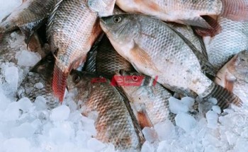 أسعار السمك بكافة أنواعه في مصر اليوم الثلاثاء 4-1-2022