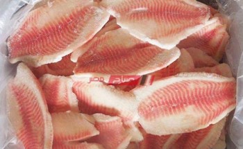 ننشر أسعار فيليه بلطي في أسواق الأسماك بالمحافظات