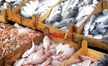 تحديث أسعار الأسماك في سوق العبور اليوم الأحد
