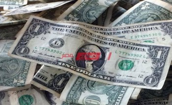سعر الدولار الامريكى اليوم السبت 2_5_2020 فى مصر