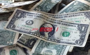 سعر الدولار اليوم الخميس 7-5-2020 في مصر