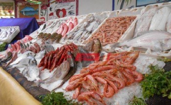 أسعار السمك بكل أنواعه في أسواق مصر اليوم الإثنين 4 اكتوبر 2021
