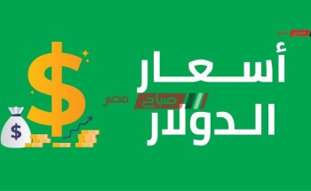 سعر الدولار الأمريكي اليوم الجمعة 24-7-2020 في مصر