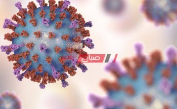 تعافي 1000 مصاب بكورونا في دمياط منذ بداية ظهور الفيروس