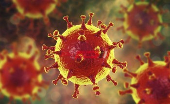 اكتشاف لقاح أمريكي يمنح مناعة لمدة 3 شهور ضد فيروس كورونا