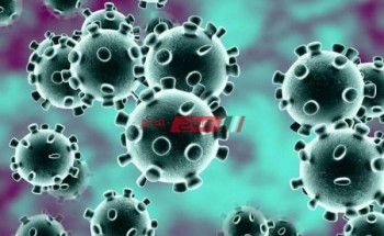 مصدر طبى يكشف: إصابة 12 طفلا بفيروس كورونا خلال يومين فى القليوبية