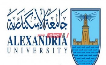 تعرف علي أخر موعد للتقديم في المدينة الجامعة بمحافظة الإسكندرية للطلاب الجدد