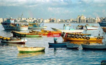 بيان الأرصاد الجوية عن طقس الإسكندرية غدا والشبورة المائية