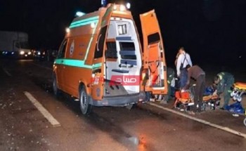 وفاة طفل فى حادث تصادم بمركز طنطا