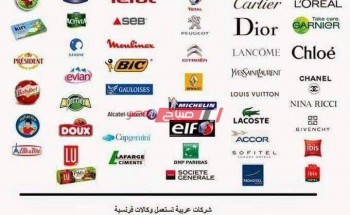 تعرف على قائمة المنتجات الفرنسية في مصر كاملة من مواد غذائية وملابس وعطور ومستحضرات تجميل وأدوية