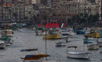 طقس غائم علي الإسكندرية ورياح نشطة مع توقعات بتساقط أمطار اليوم