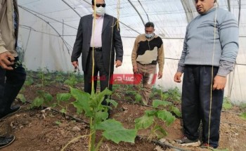 وكيل زراعة دمياط يشدد على تطوير العمل بالقطاع الزراعي والتواصل مع المزارعين