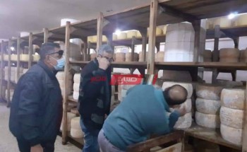 ضبط 20 قرص جبنة رومي فاسدة في مصنع بمنطقة العامرية في الإسكندرية