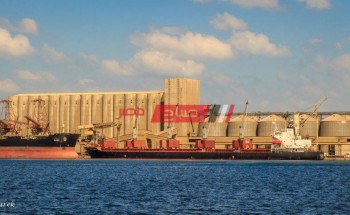 تصدير 197 طن كحول و 6518 طن فوسفات عبر ميناء دمياط خلال الـ 24 ساعة الأخيرة