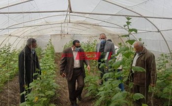 وكيل زراعة دمياط يتفقد زراعات الصوب إنتاج الخضر المقامة بديوان الإدارة الزراعية بكفر سعد