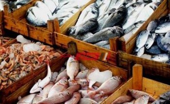 أسعار الأسماك لكل الانواع اليوم الإثنين 5-4-2021 بأسواق مصر